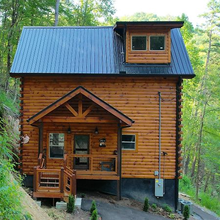 Hawks Nest Mountain Cabin セバービル エクステリア 写真